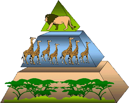 Energy Pyramids