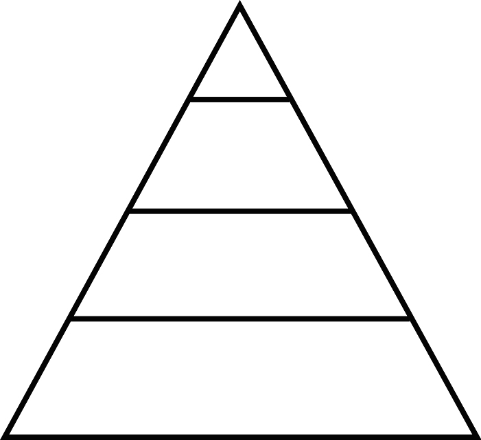food chain pyramid blank