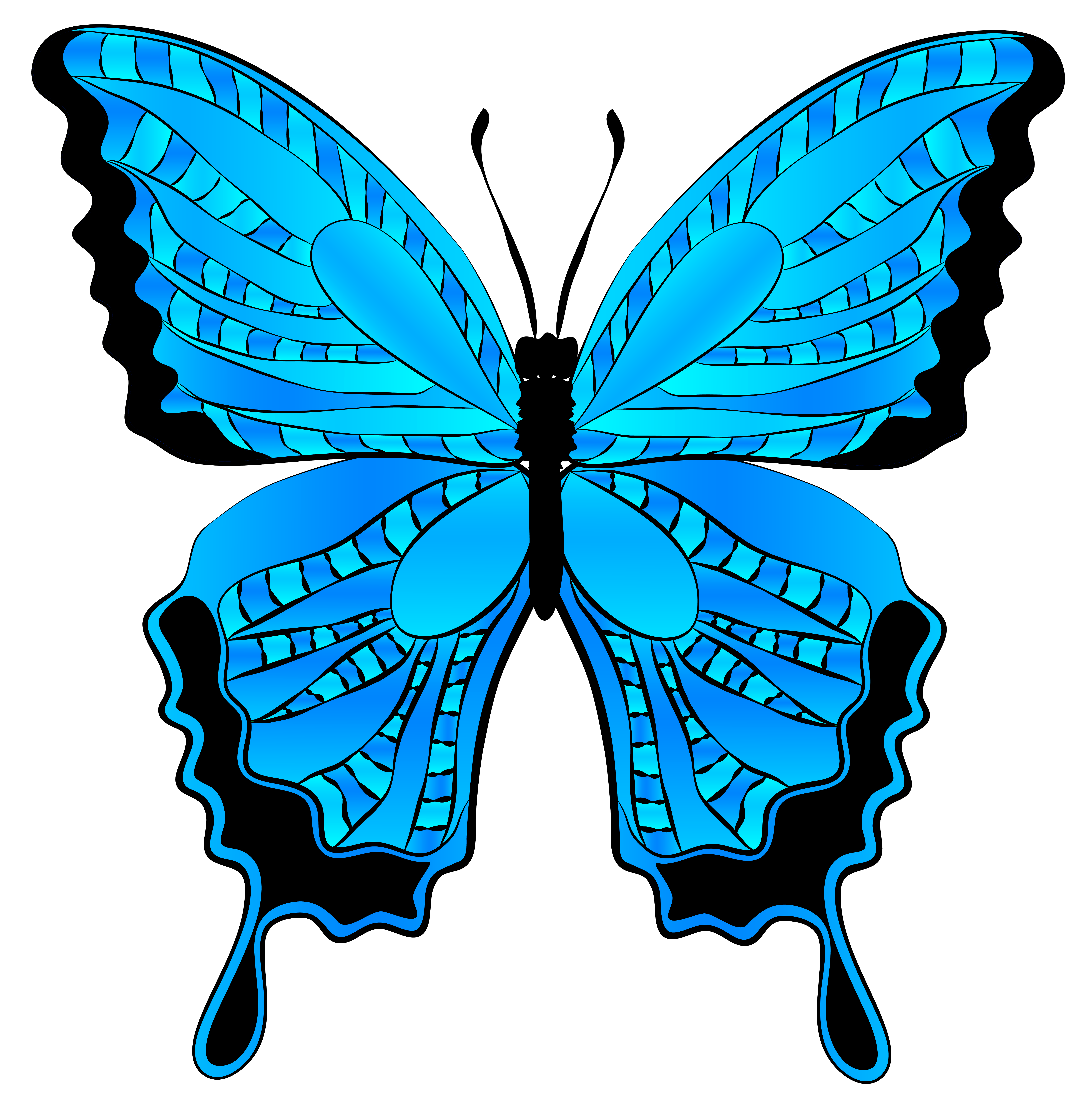 Blue Butterfly Illustration High Quality Vector Art For Design 