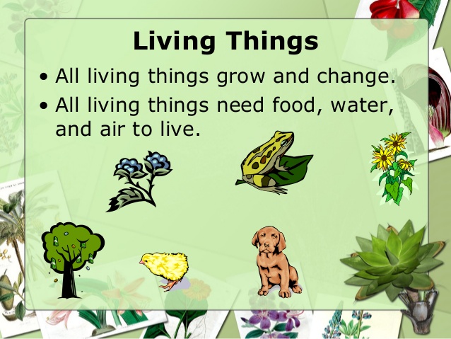 Living things and their environment clipart