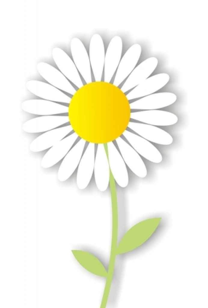 Simple white daisy with yellow center and green stem on white background, stylized paper-cut design.