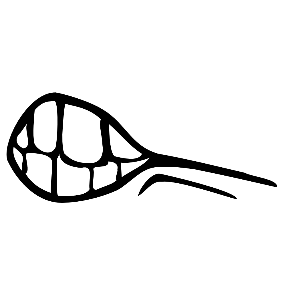 Turtle Shell Icon - Clean Vector Graphic for Nature and Wildlife Design