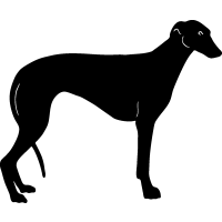 Greyhound Silhouette Clip Art