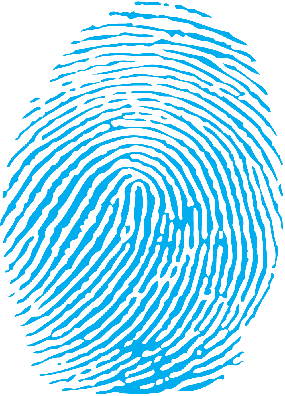 Fingerprints Cliparts 3034345 Clipart Library