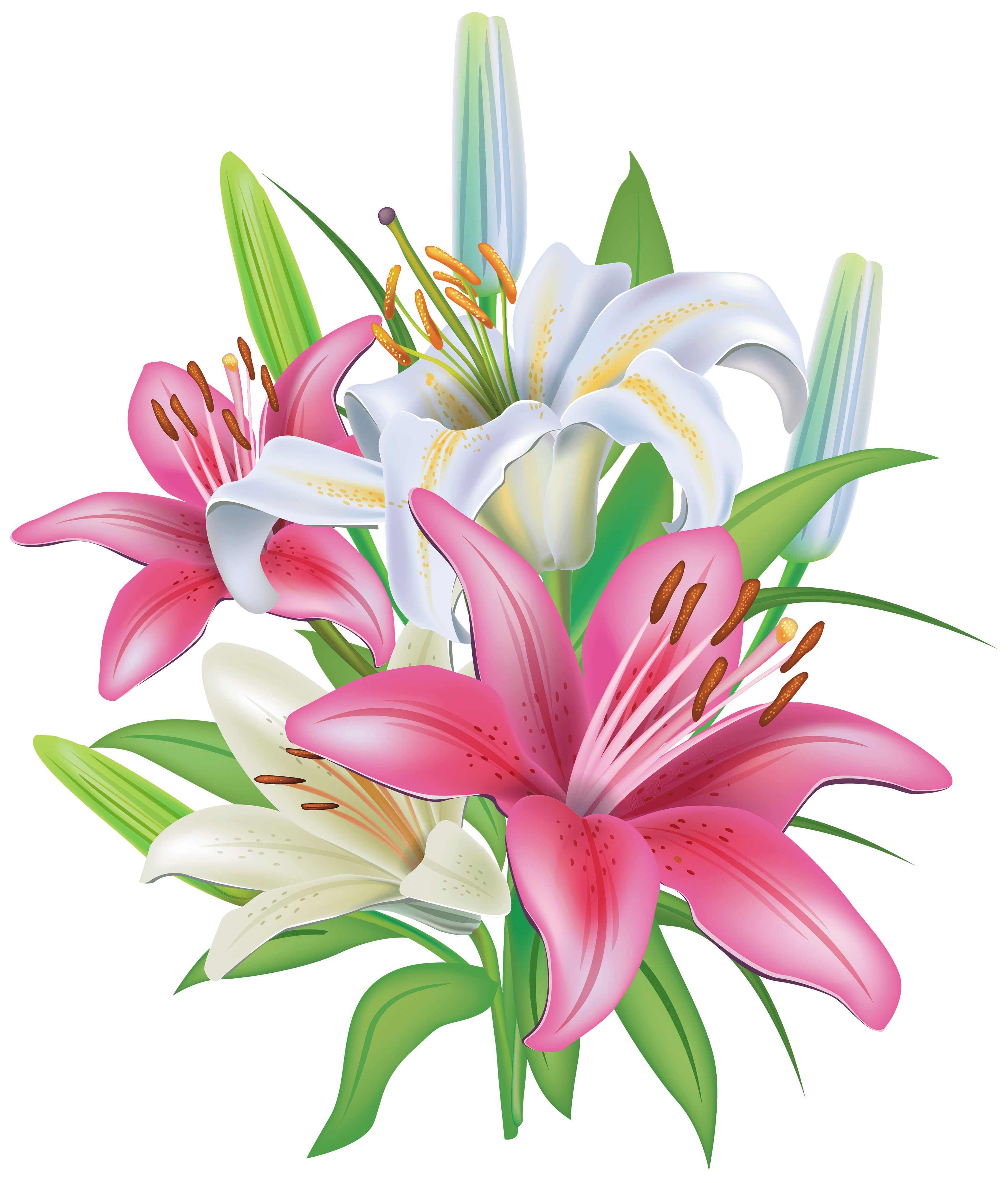 Lilies Flowers Decoration PNG Clipart Image
