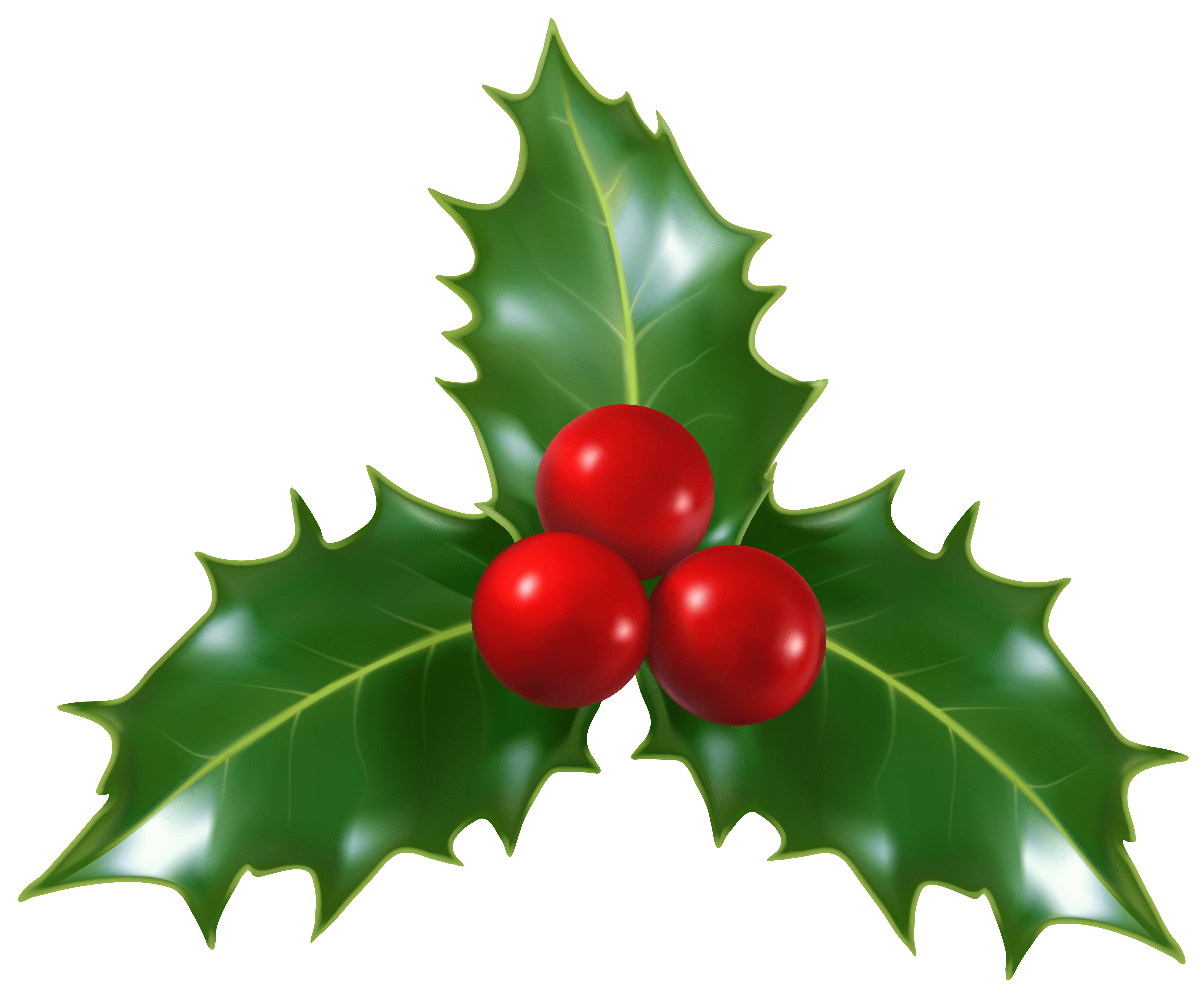 Christmas Holly Mistletoe PNG Clip