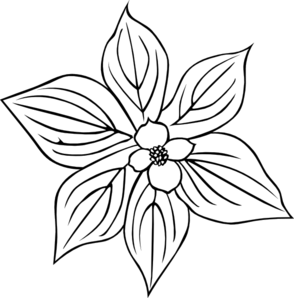 Creeping Dogwood Coloring Page Clip Art