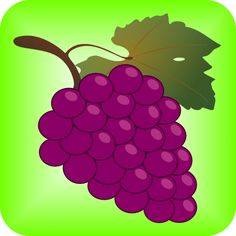Fresh Purple Grapes Illustration - Healthy Fruit Graphic