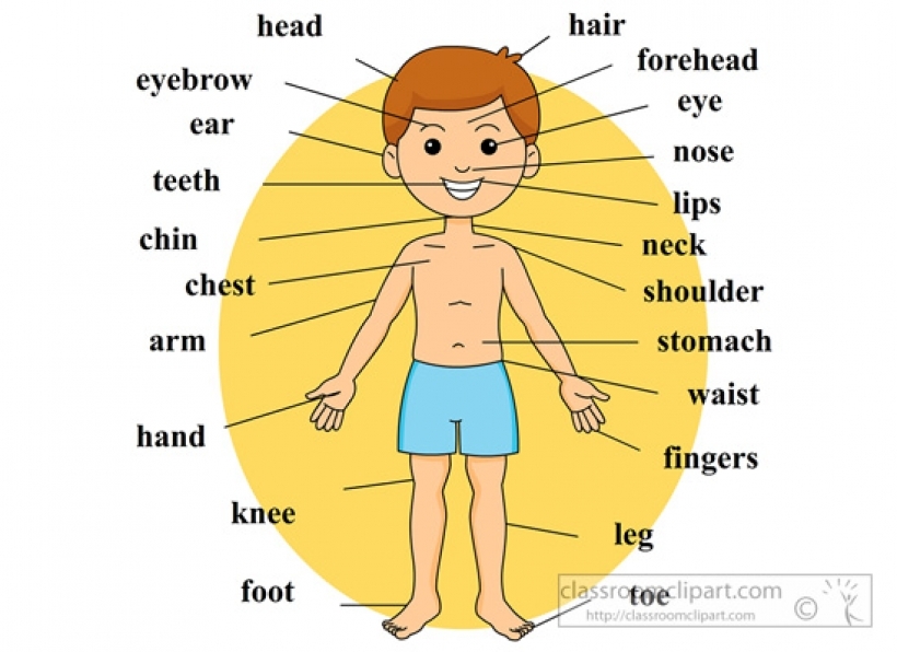 Parts Of The Body Clipart Black And White ~ Clipart Body Parts Black ...