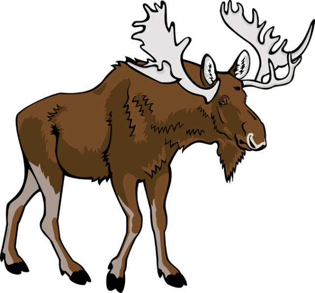 Stylized illustration of a brown moose with large white antlers standing in profile against a black background.