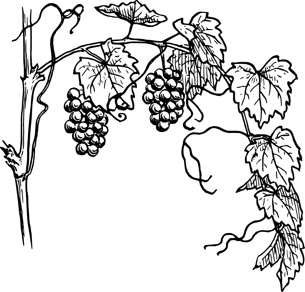 Blank image placeholder with no visible content.