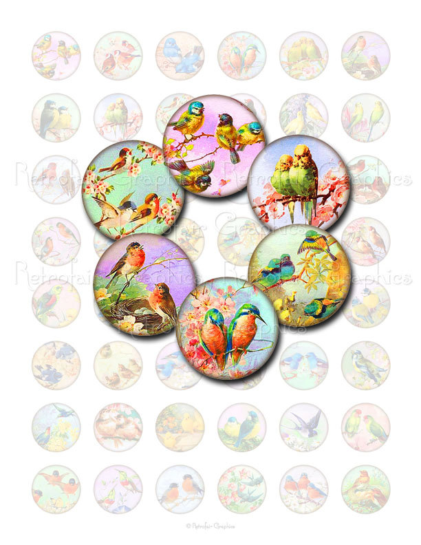 Aviary Birds Cliparts