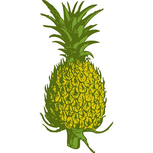 Vibrant hand-drawn pineapple with green crown and textured yellow body on white background.