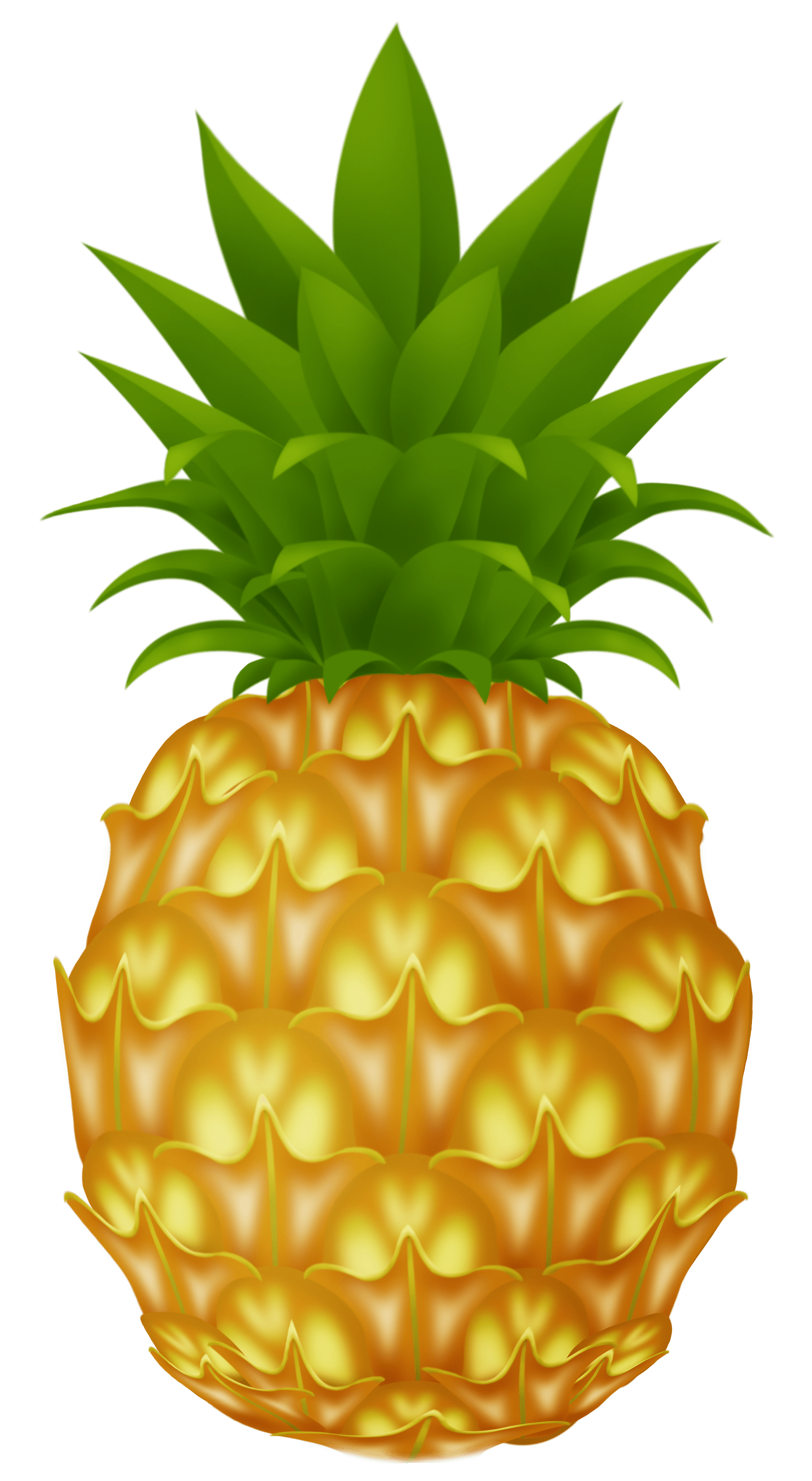 pineapple-clipart-png-r-n-clip-art-library