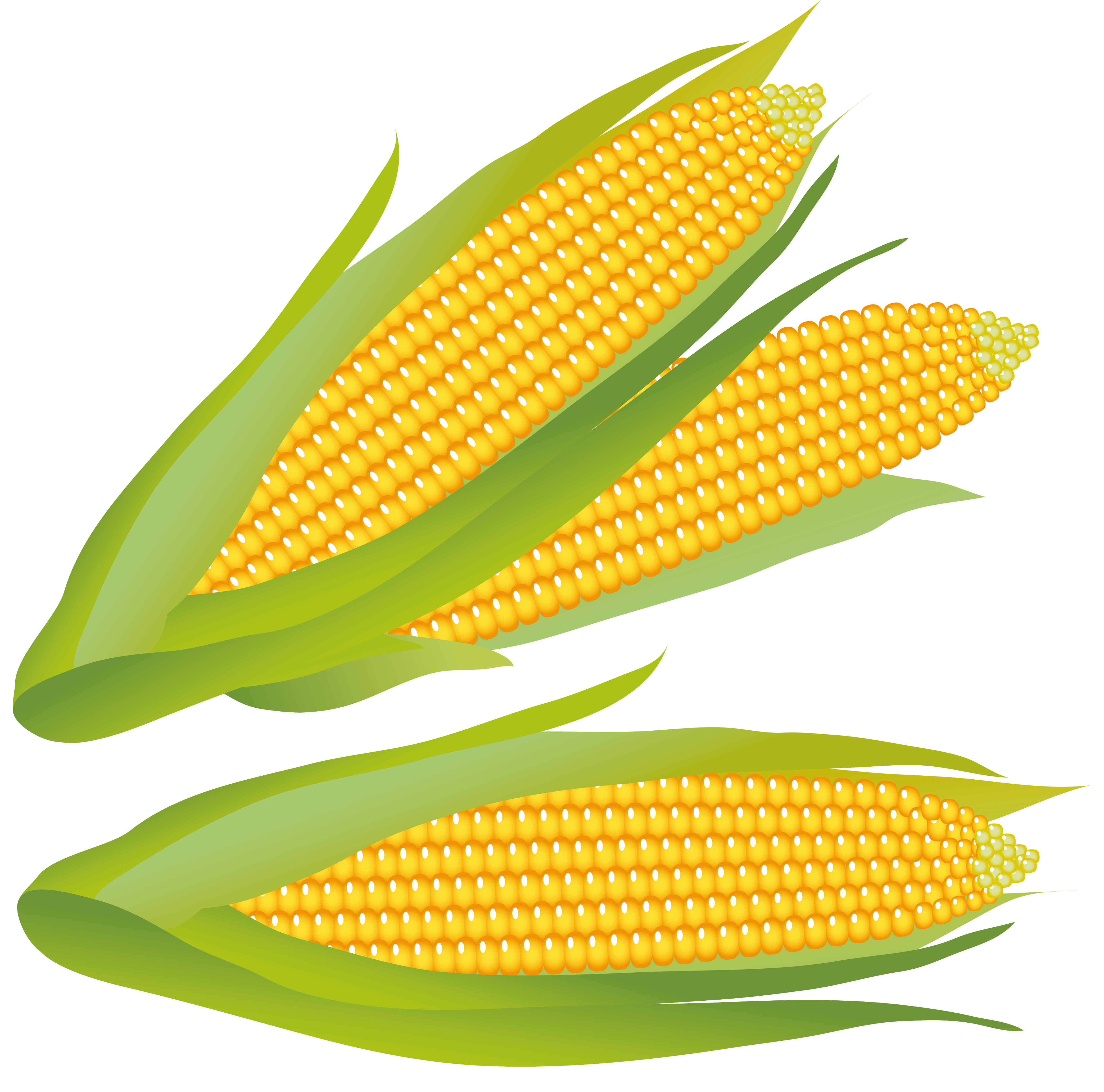 Corn Clipart Clip Art Library