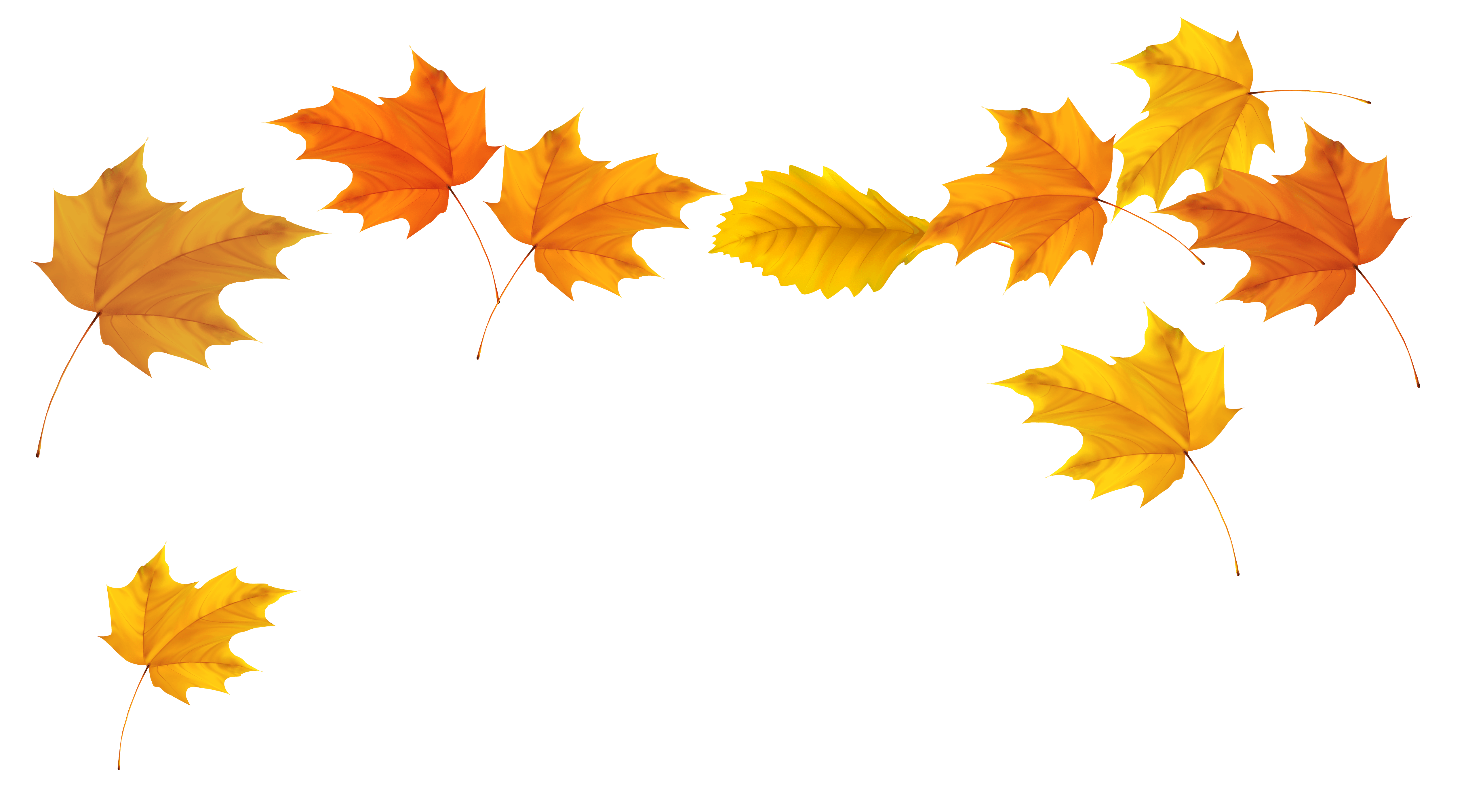fall leaves transparent background - Clip Art Library