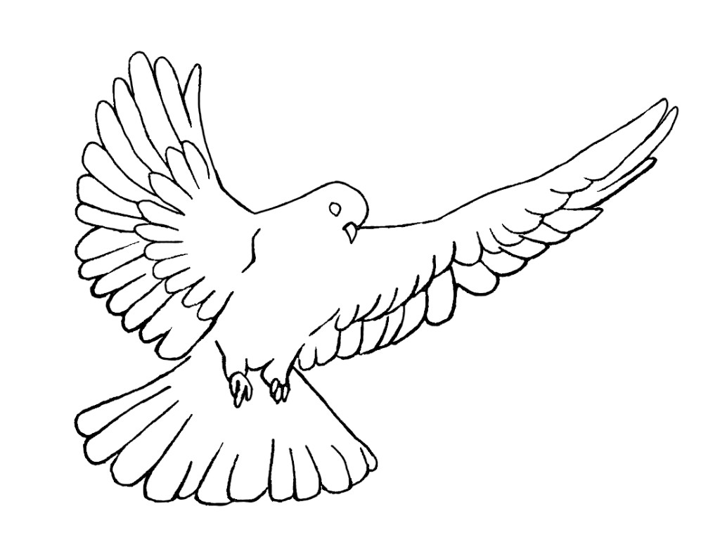 White dove in flight holding heart, ink sketch, hand drawn vector  illustration. | CanStock
