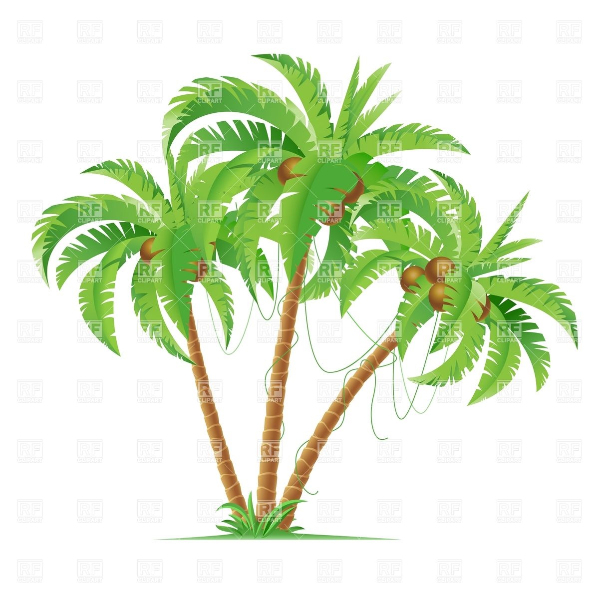 Cartoon Palm Trees With Coconuts - What's more, other formats of ...