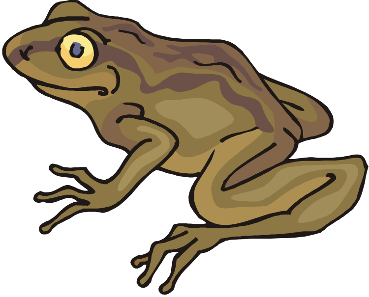 toad clip art - Clip Art Library