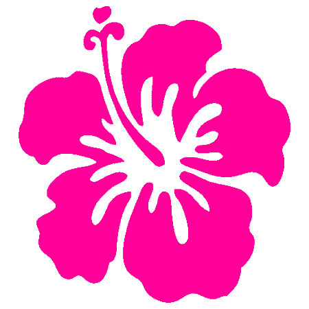 Vibrant pink hibiscus flower silhouette with black center and stamen detail on white background.