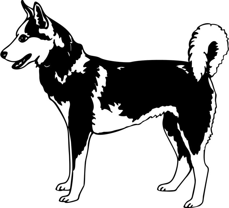 husky dog clipart black and white - Clip Art Library