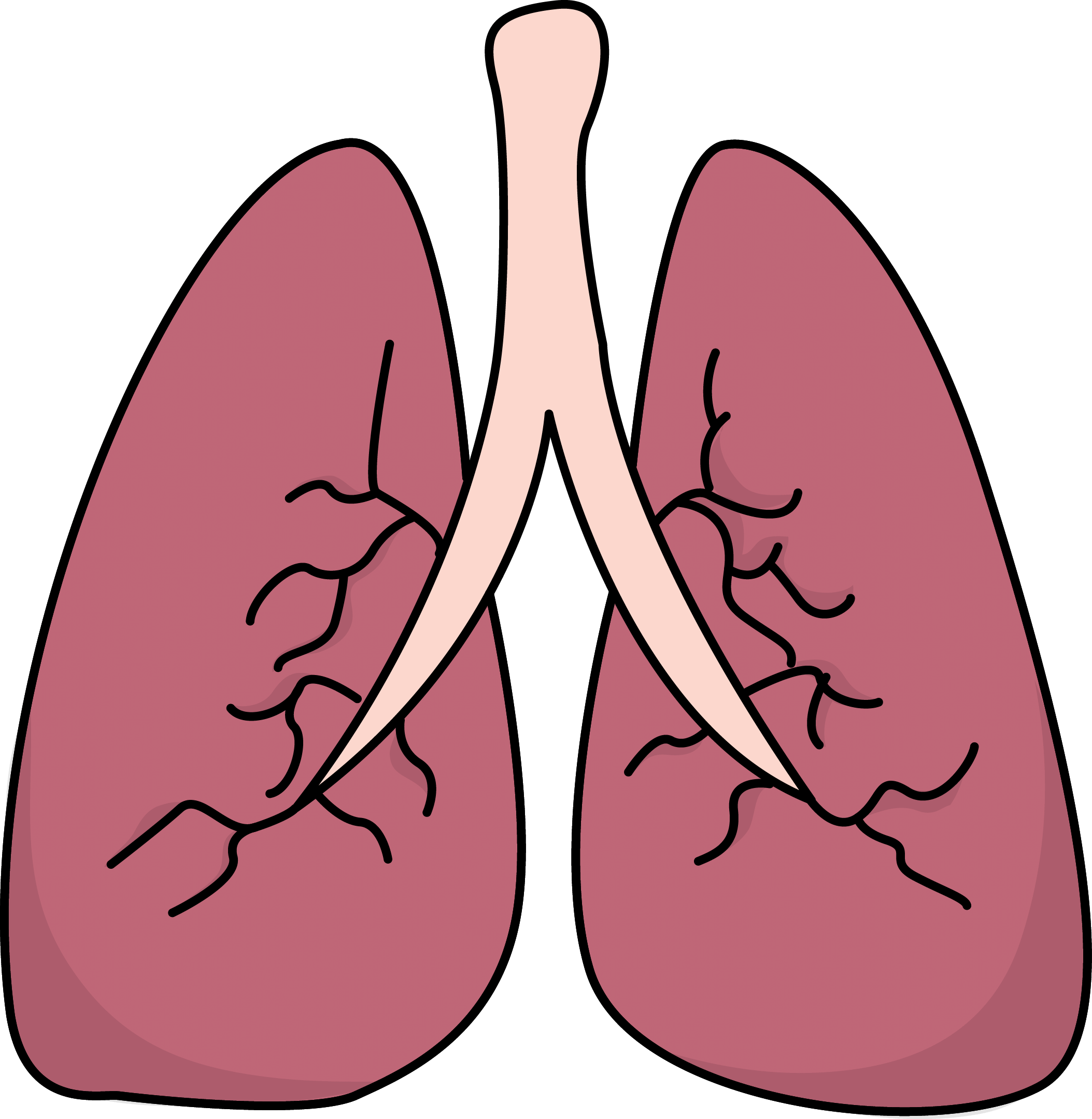 lungs black and white Clip Art Library