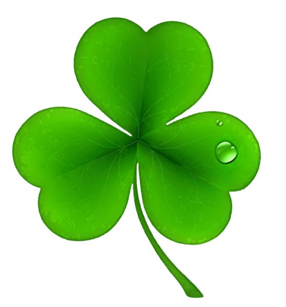 Four-Leaf Clover Image - Symbol of Good Luck & Nature’s Rarity