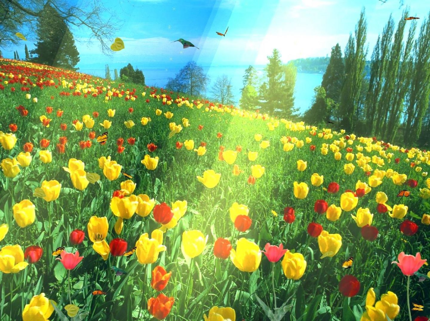 animated flower garden background - Clip Art Library
