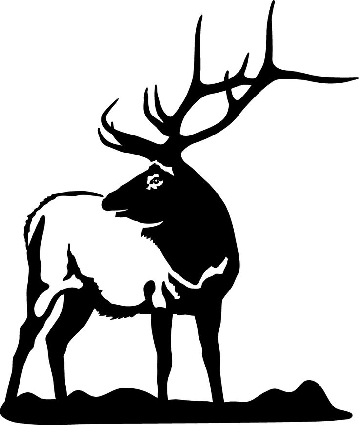 Bull Elk and Calf Silhouette - Wildlife Art & Nature Illustration