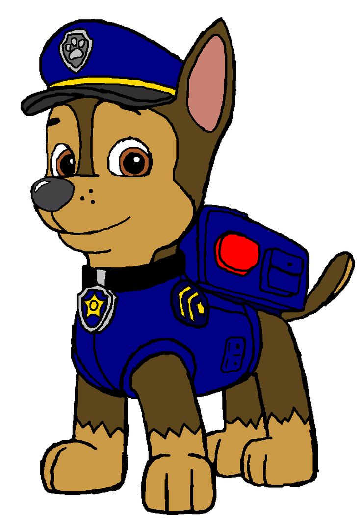 Chase the Police Dog - Paw Patrol Character Guide & Fun Facts