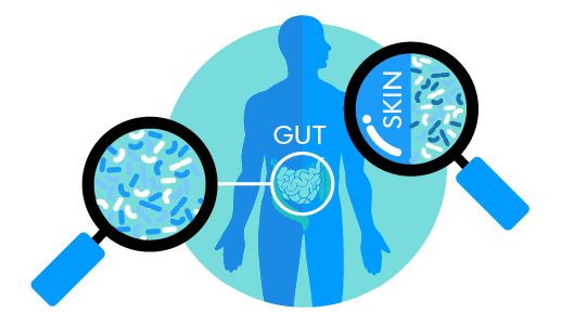 Gut and Skin Microbiome Connection - Visual Guide to Microbial Health