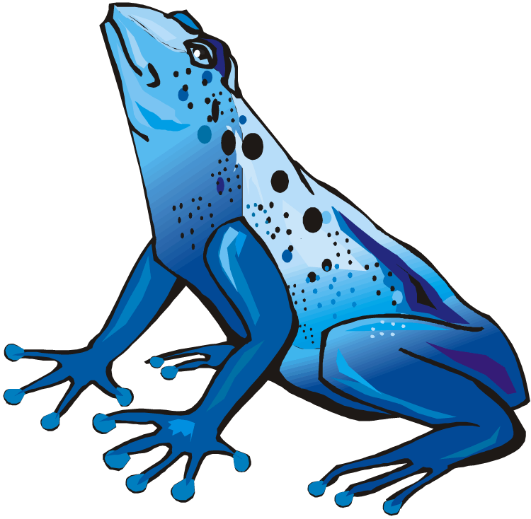 Blue Poison Dart Frog - Striking Amphibian Illustration