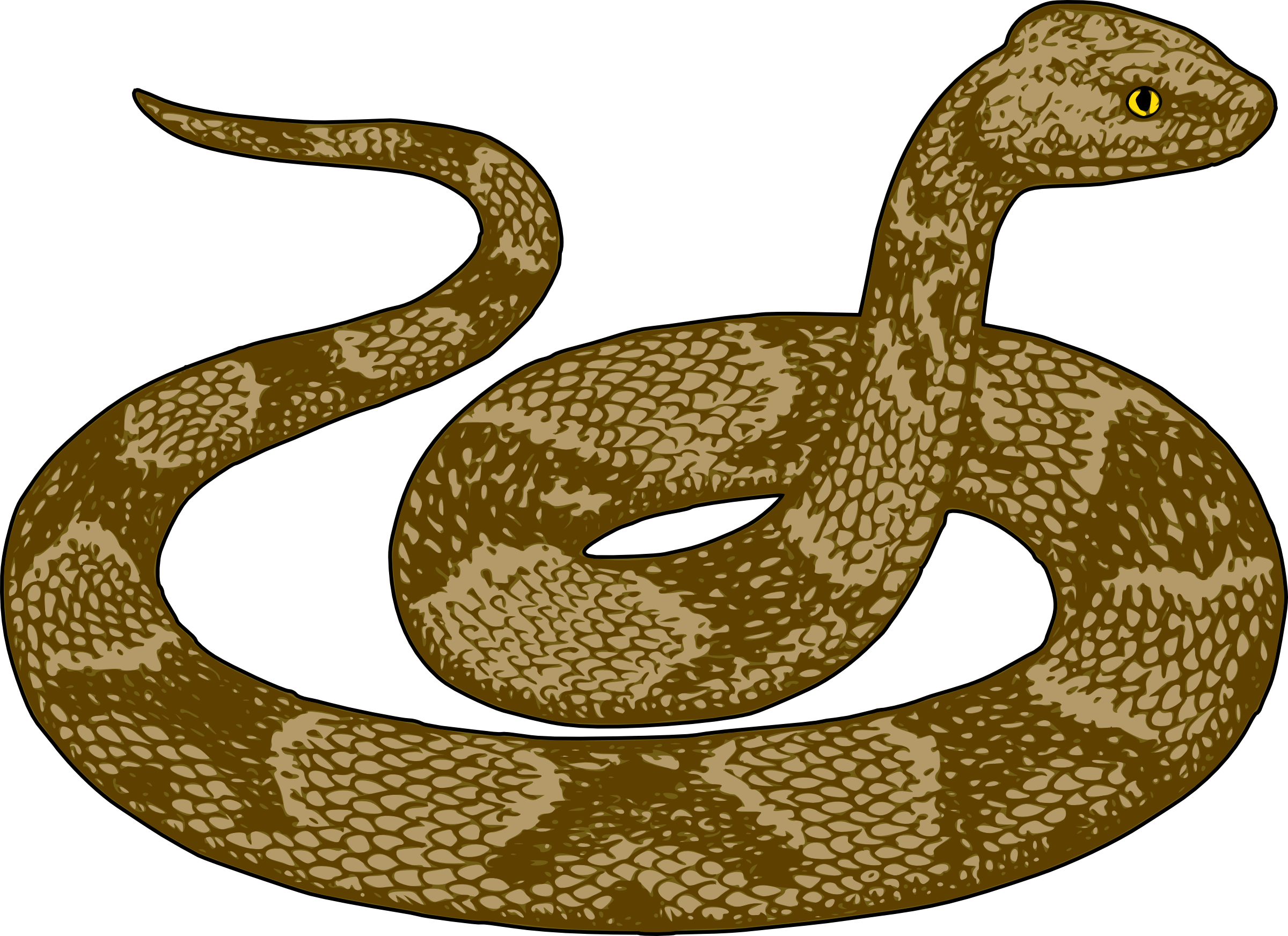 desert snake clipart - Clip Art Library