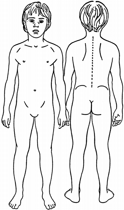 Outline Of A Body