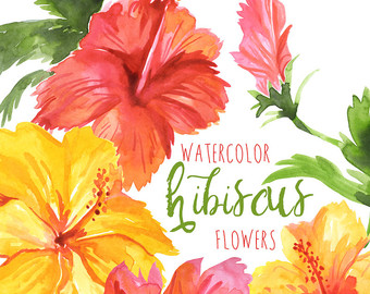 Hawaii Anniversary Cliparts
