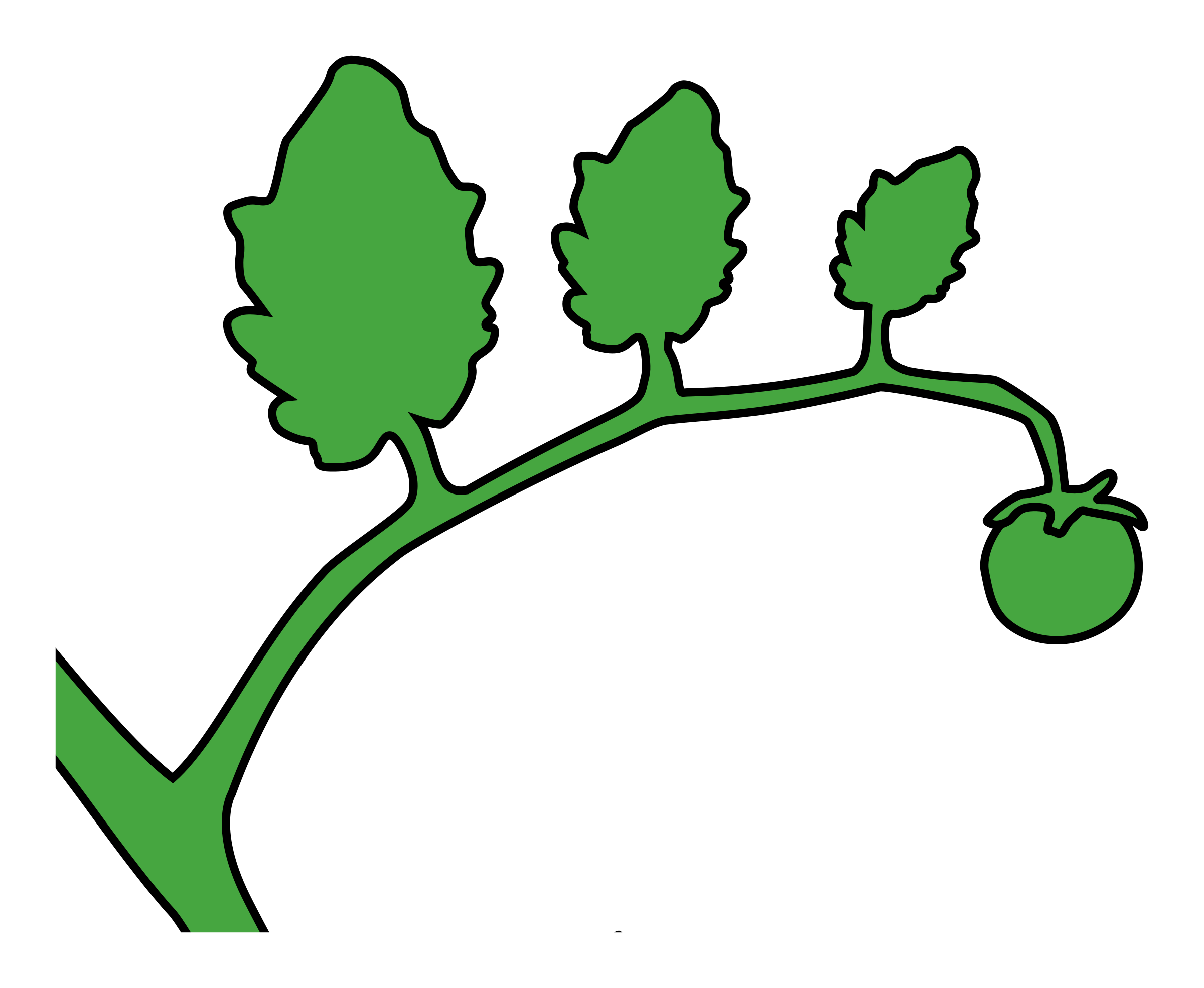 Овощи стебли иконка. Помидоры Виноградная лоза. Помидорная лоза рисунок. Зеленая лоза с листьями. Plants tv