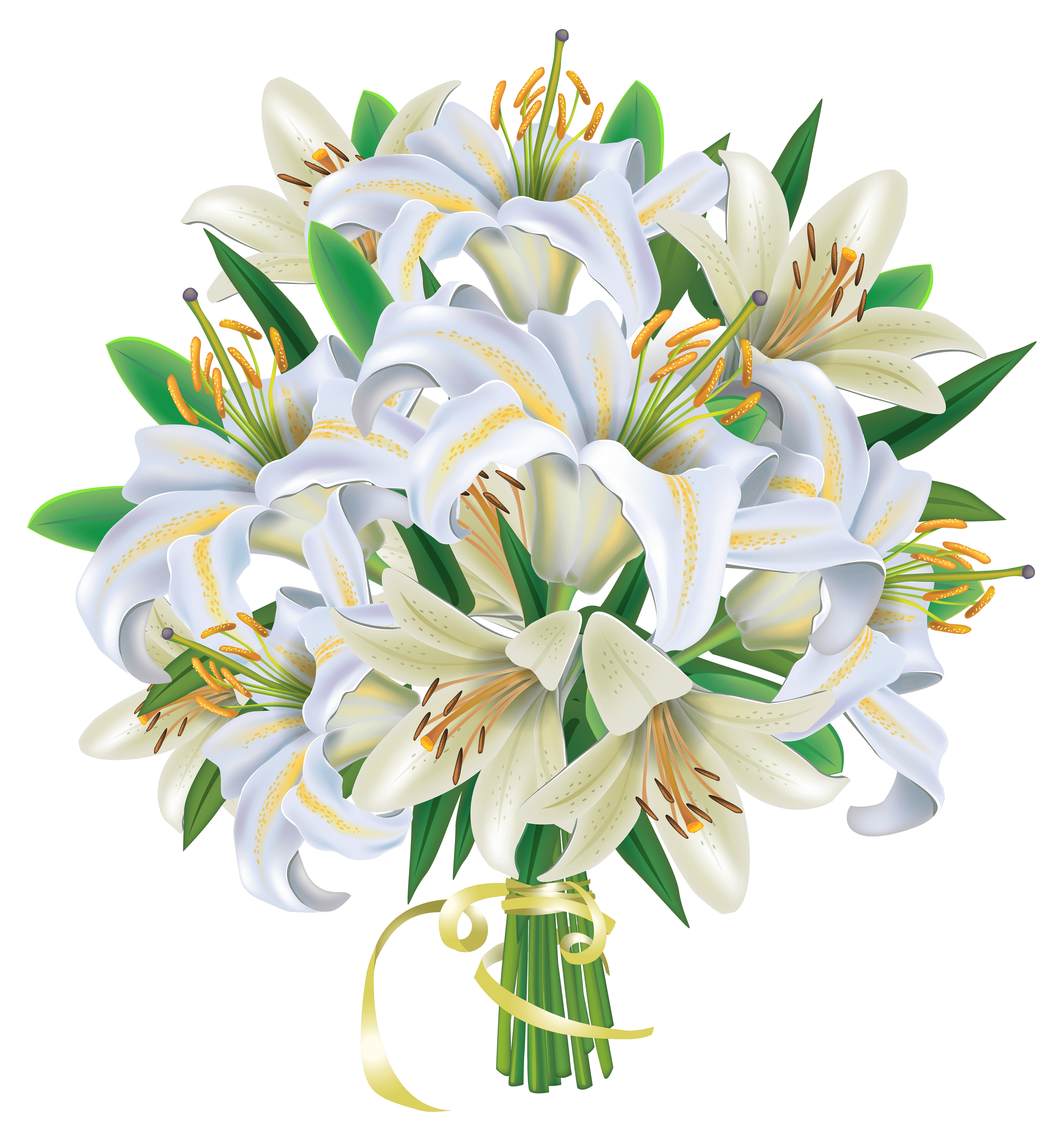 White Lily Flower Png Clipart Best Web Clipart | Images and Photos finder