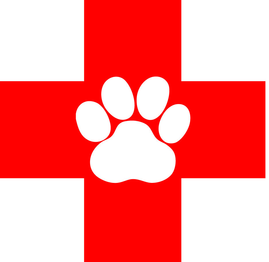 clipart veterinarian logo