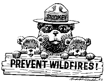 Smokey Bear Wildfire Prevention Campaign - Official USDA Forest Service Icon