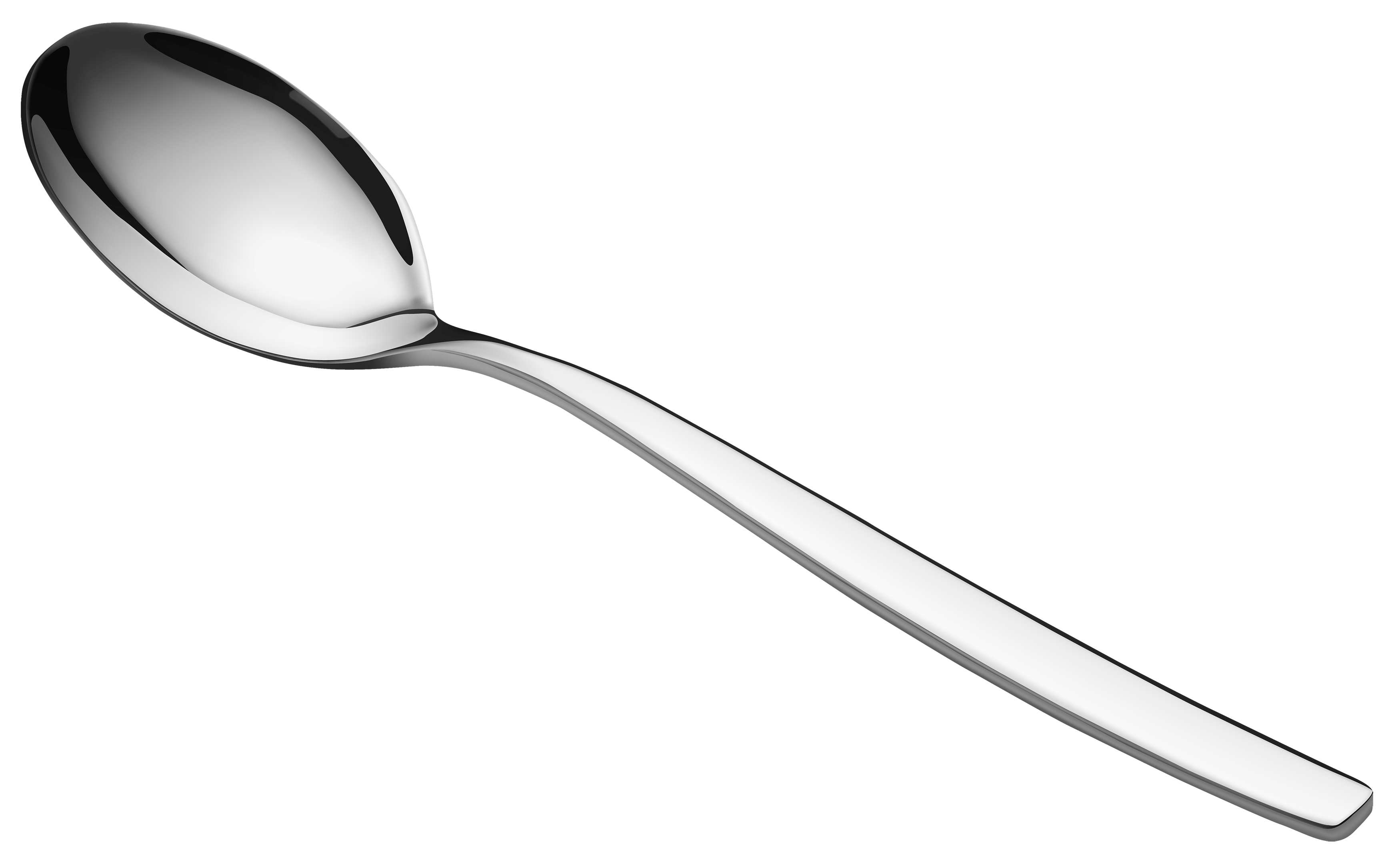 Stainless Steel Spoon Premium Cutlery For Dining Serving 3051257 