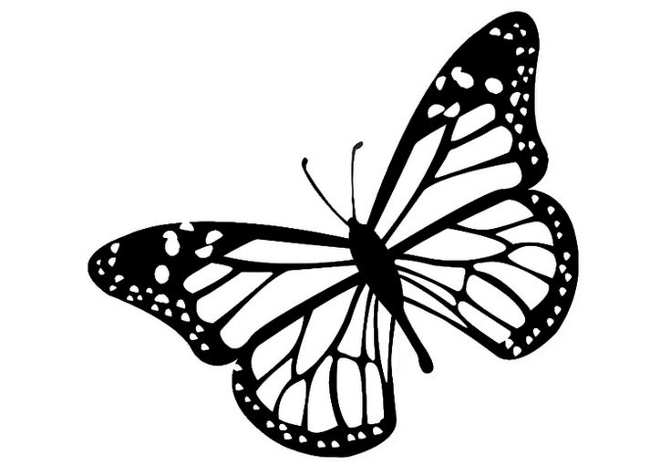 Free Butterfly Cliparts Black, Download Free Butterfly Cliparts Black ...