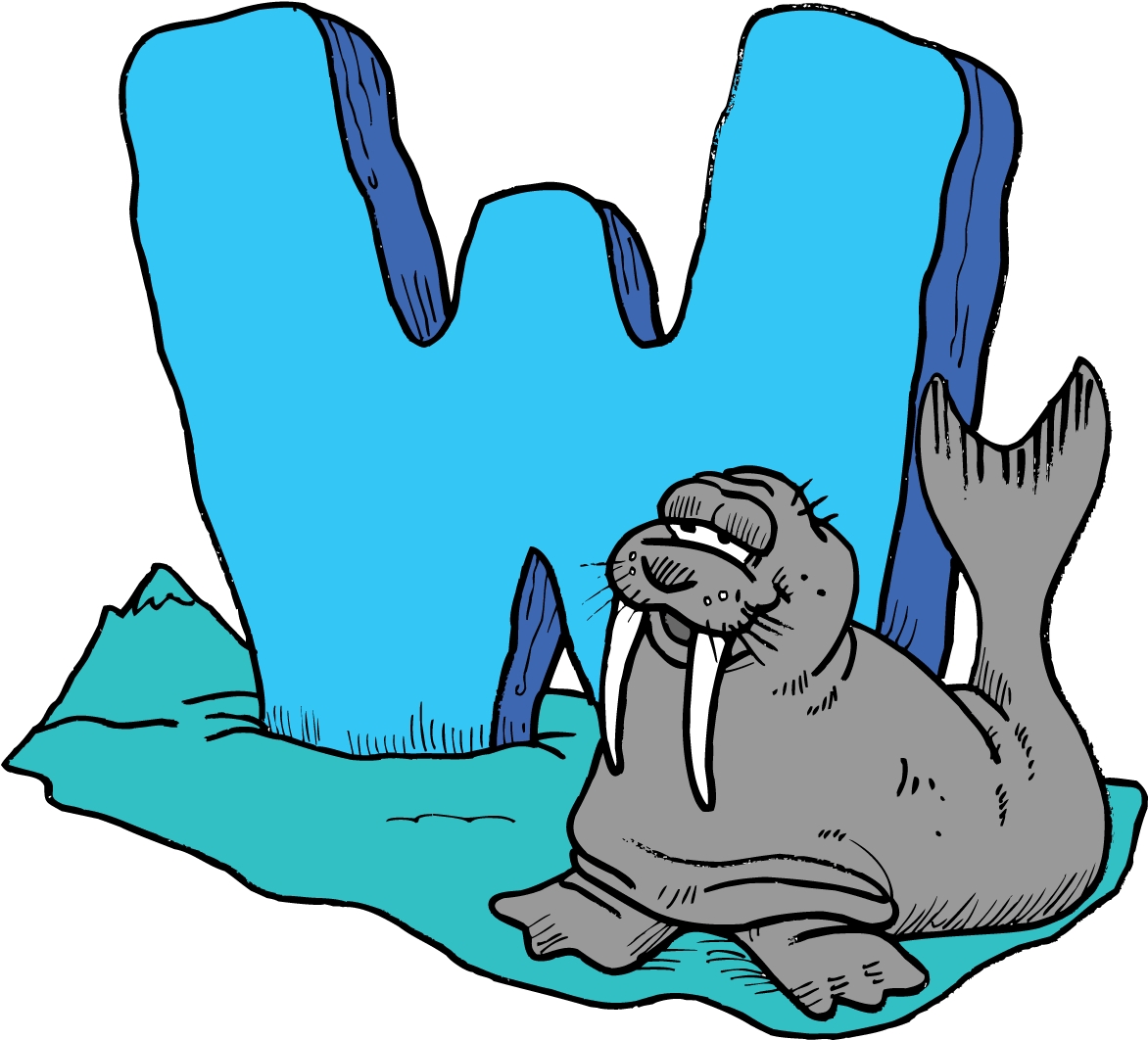 Walrus Illustration for Kids’ Alphabet Learning - Letter W