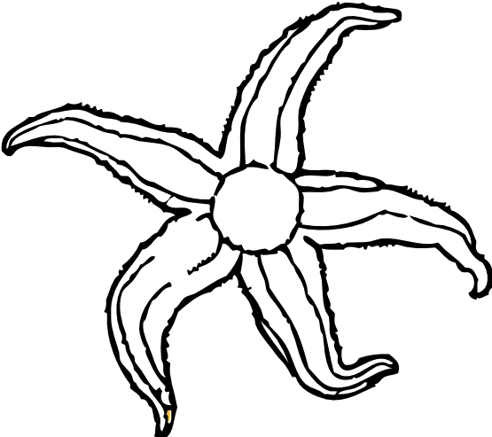 Solitary Flame on Black Background - Minimalist Fire Imagery