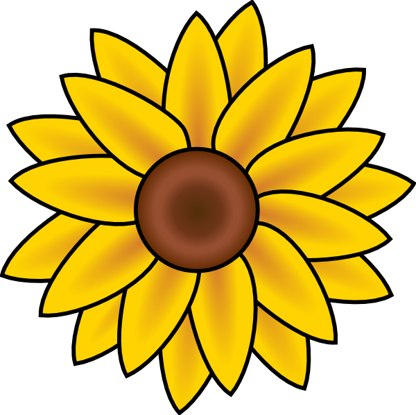 Sunflower Illustration - Vibrant Floral Clipart for Design & Education