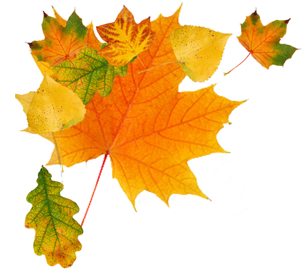 Autumn Clipart Free Fall Clip Art Images Autumn Clipart Free Fall Clip Art Images