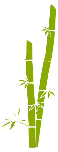 Bamboo Transparent 