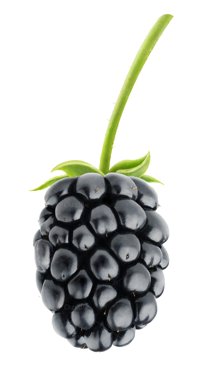 Blackberry Fruit PNG Pic 