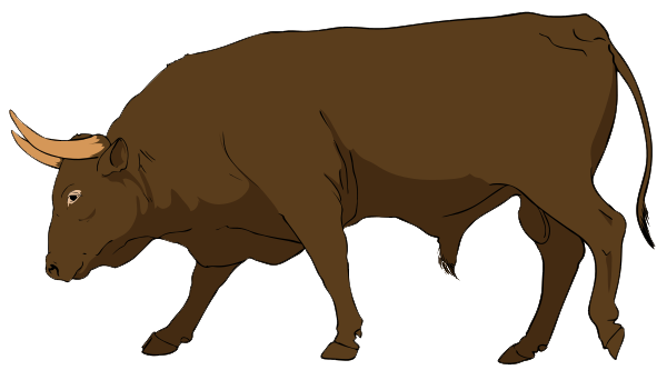 Bull PNG Transparent Images
