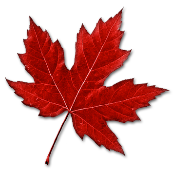 Canada Leaf PNG Image 