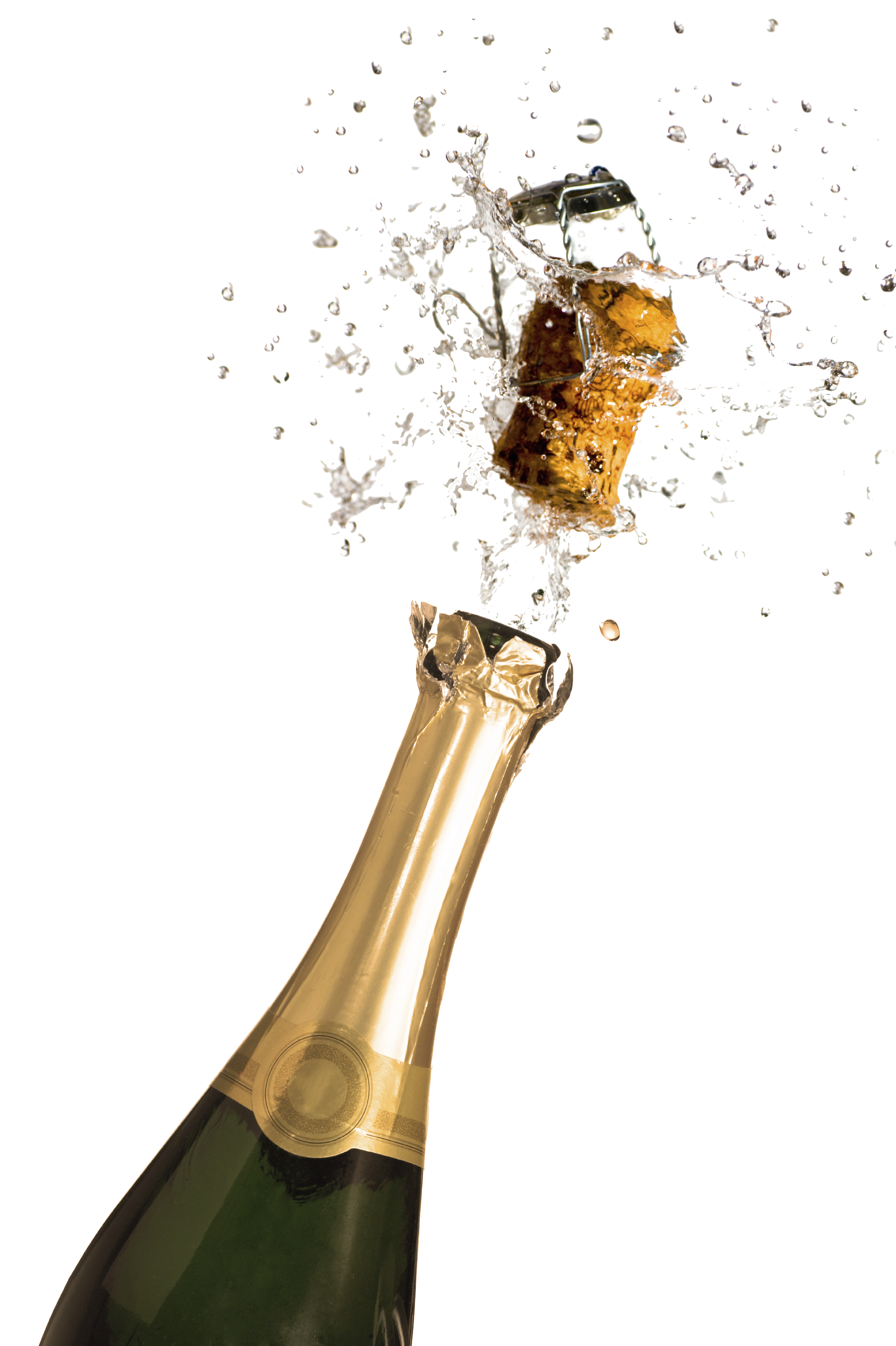 free-champagne-transparent-png-download-free-champagne-transparent-png